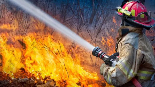 Essential Duties of Fire Wardens and Fire Marshals... - Fire Marshal Training UK